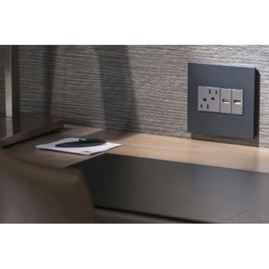 Adorne AWP2GMG4 2 Gang Wall Plate 4 Pack Magnesium