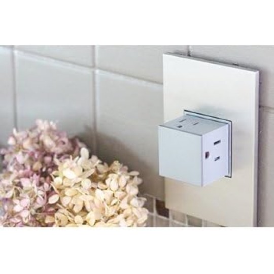 15Amp 1-Gang Pop-Out Outlet in White With Matching Wall Plate, ARPTR151GW2WP