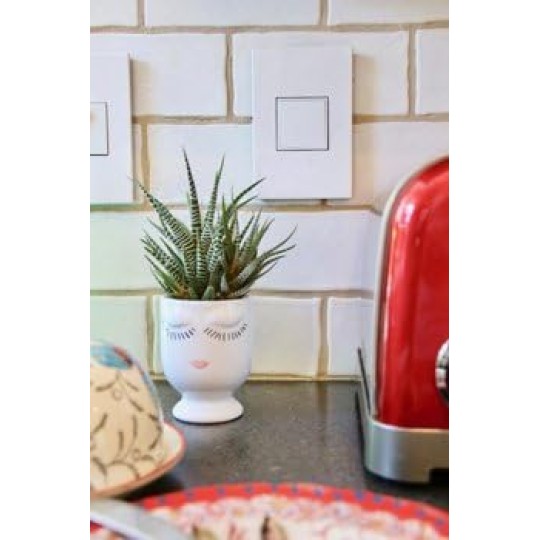 15Amp 1-Gang Pop-Out Outlet in White With Matching Wall Plate, ARPTR151GW2WP