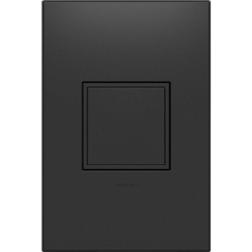15Amp 1-Gang Pop-Out Outlet in Graphite With Matching Wall Plate, ARPTR151GG2WP