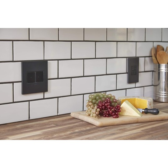 Adorne AWP2GGR4 2-Gang Graphite Wall Plate, 4 pack