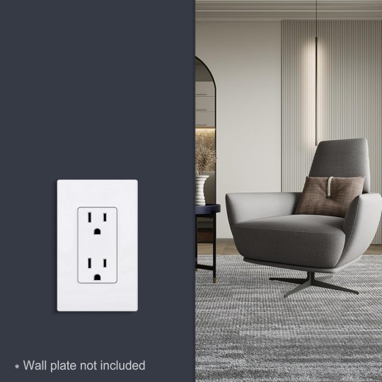 (100 Pack) 15 Amp Matte White Decorator Wall Outlet, Decor Standard Electrical Receptacle, 15A/125V, Non-Tamper Resistant, 2 Pole 3 Wire, UL Listed